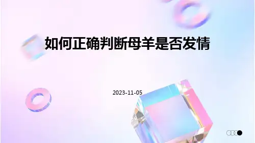 如何正确判断母羊是否发情