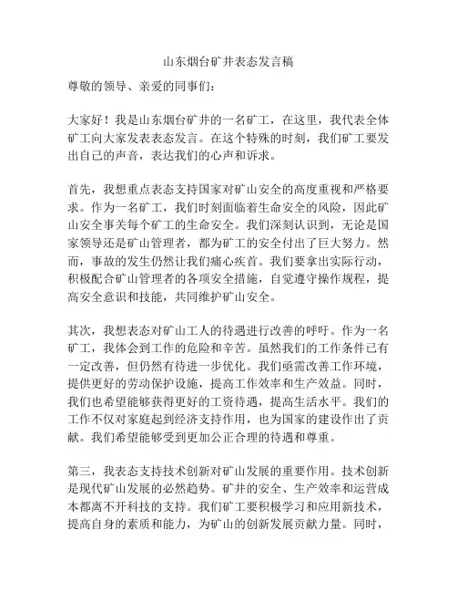 山东烟台矿井表态发言稿