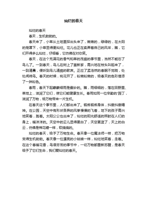 灿烂的春天
