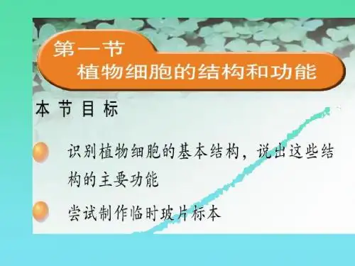生物：3.1《植物细胞的结构和功能》课件(苏教版七年级上)