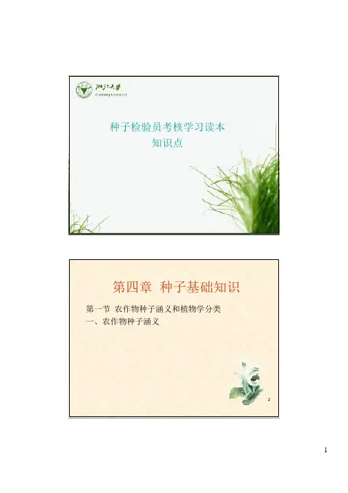第四章 种子基础知识