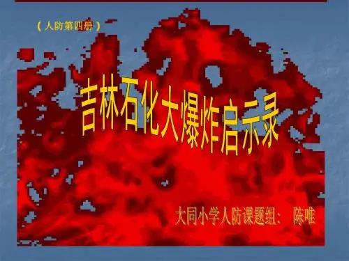 吉林石化大爆炸启示录(精)