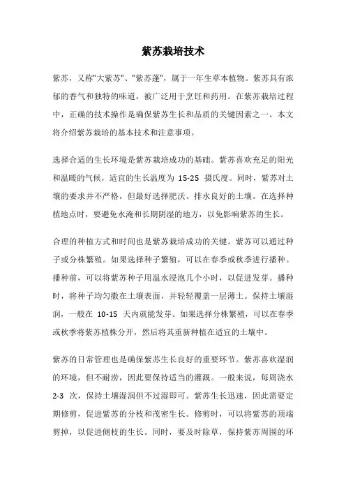 紫苏栽培技术