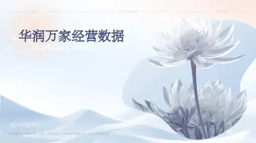 华润万家经营数据