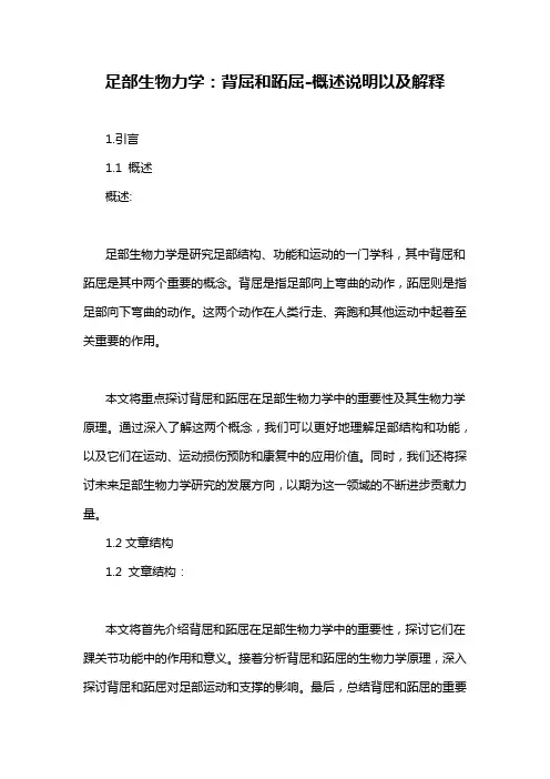 足部生物力学：背屈和跖屈-概述说明以及解释