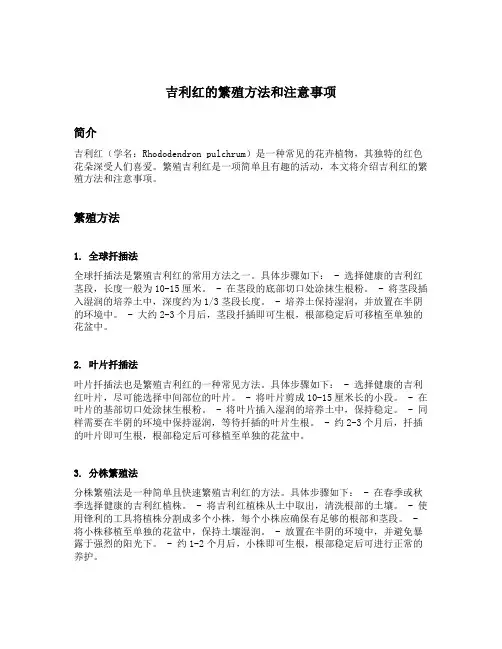 吉利红的繁殖方法和注意事项
