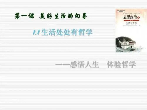 美好生活的向导 PPT教学课件9 人教课标版
