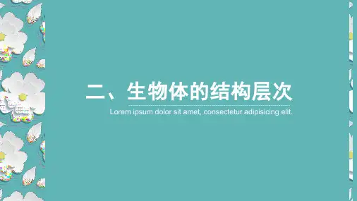 2023年江西省中考生物第一轮复习课件-第2课时 细胞是生命活动的基本单位