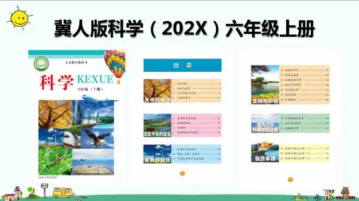 冀人版六年级上册科学第四单元《生物与环境》复习(课件)