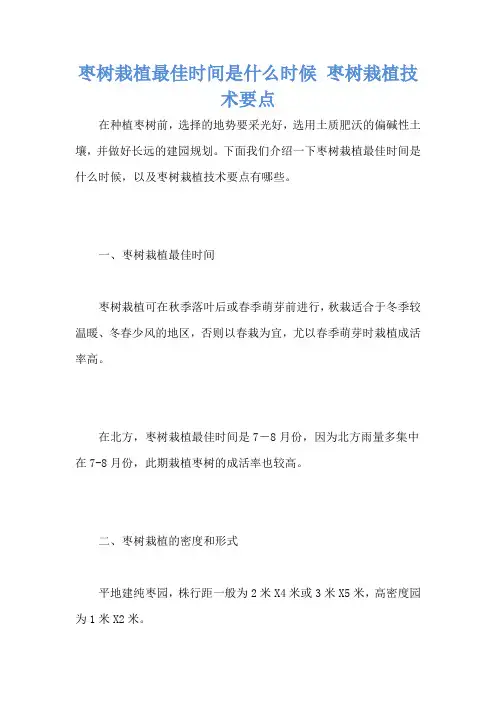 枣树栽植最佳时间是什么时候 枣树栽植技术要点