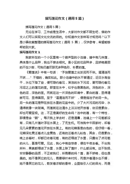 描写莲花作文（通用5篇）