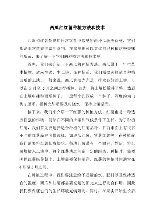 西瓜红红薯种植方法和技术