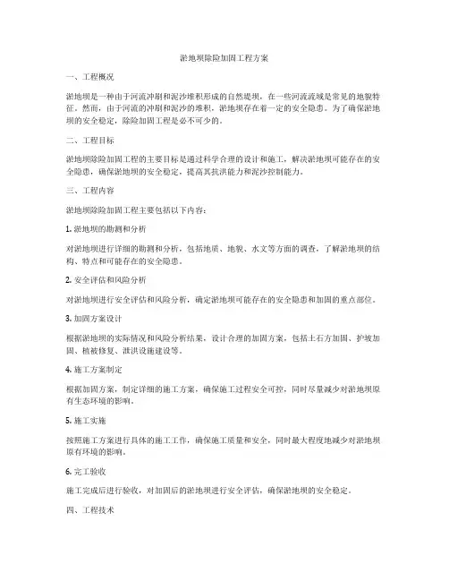 淤地坝除险加固工程方案