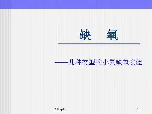 几种类型的小鼠缺氧实验