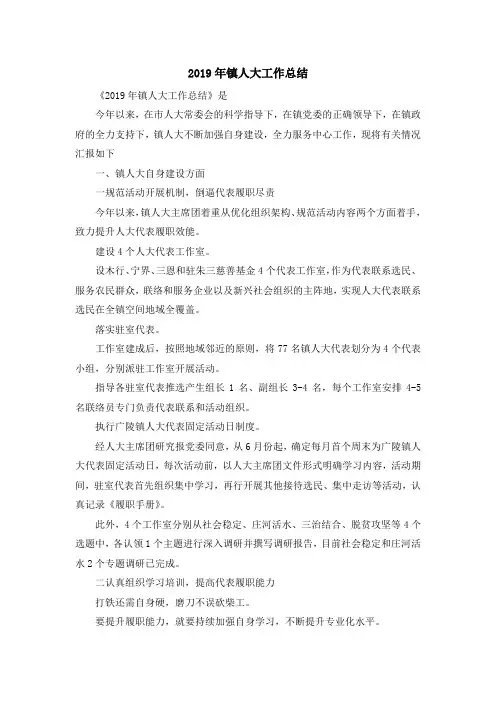 工作总结-2019年镇人大工作总结 精品