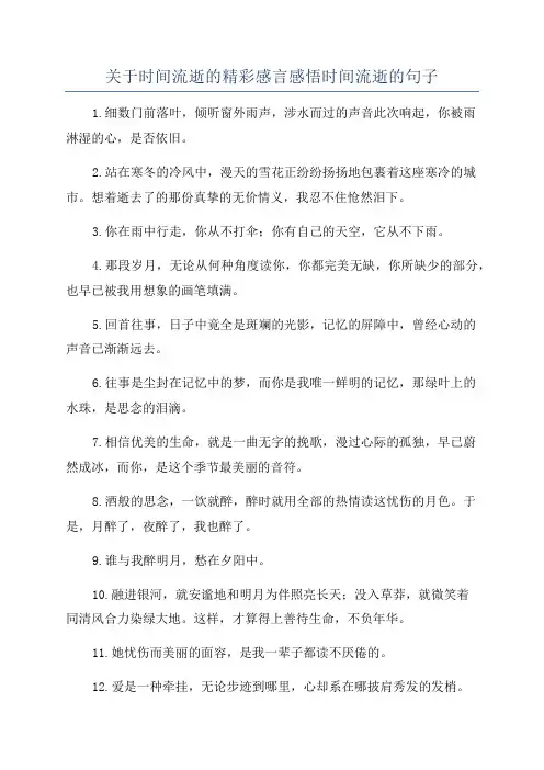 关于时间流逝的精彩感言感悟时间流逝的句子