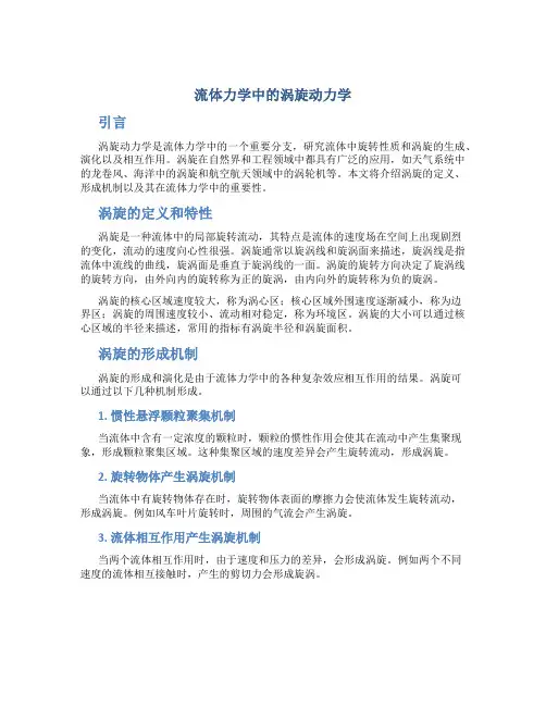 流体力学中的涡涡动力学
