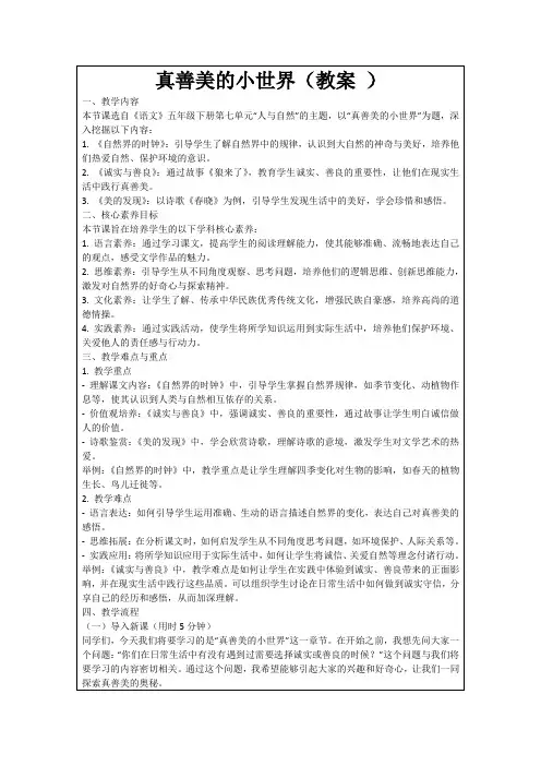 真善美的小世界(教案)
