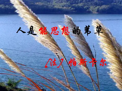 《人是一根能思想的苇草》