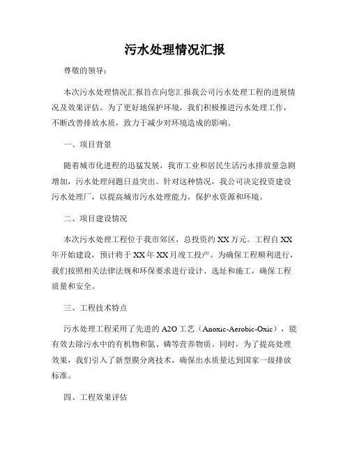 污水处理情况汇报