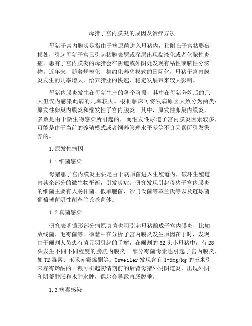母猪子宫内膜炎的成因及治疗方法