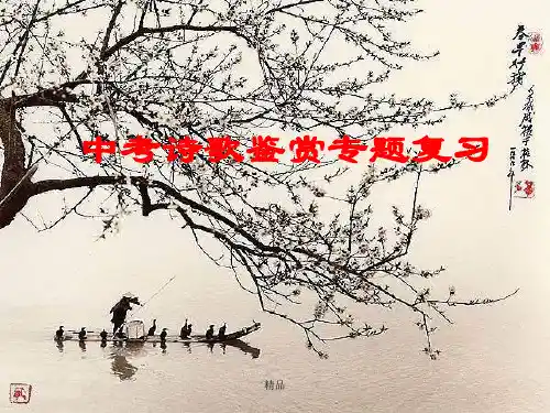 2011年中考语文诗歌鉴赏专题复习--中考高考精选.ppt