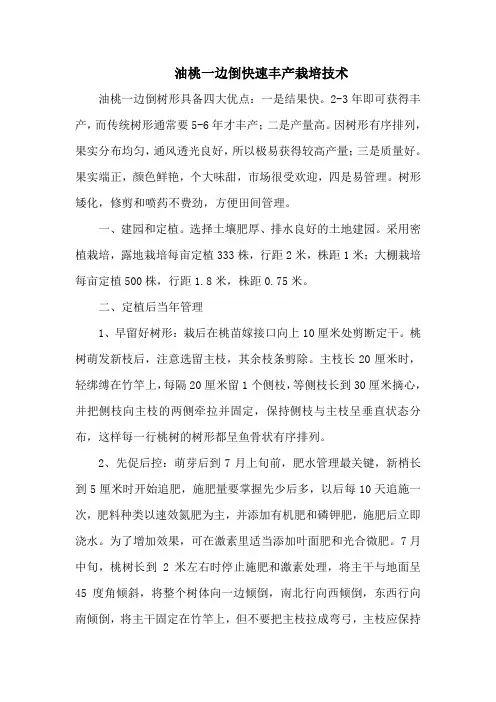 油桃一边倒快速丰产栽培技术