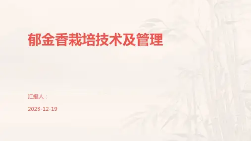 郁金香栽培技术及管理