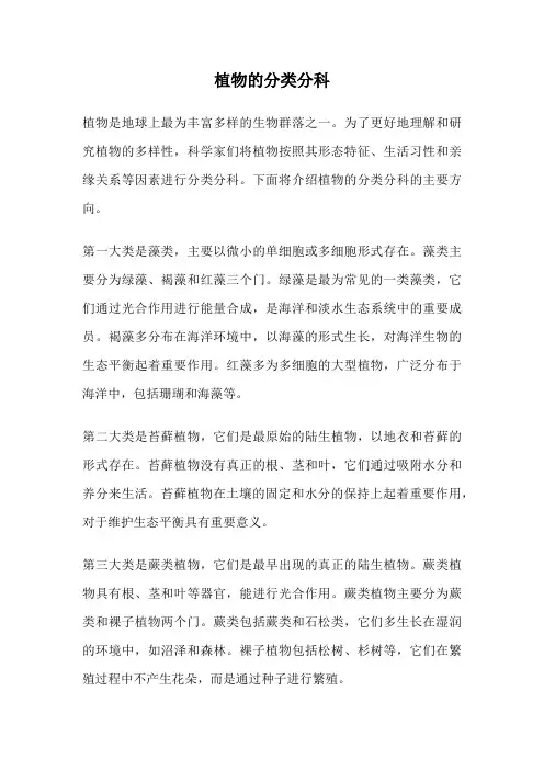 植物的分类分科