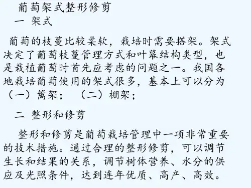 葡萄架式及整形修剪 ppt课件