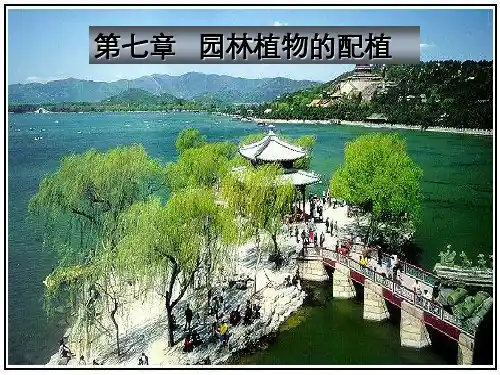 园林树木配置