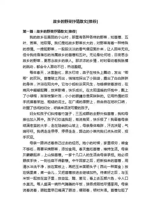 故乡的野菜抒情散文[推荐]