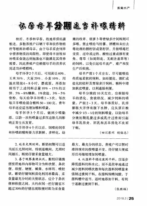 怀孕母羊分期适当补喂精料