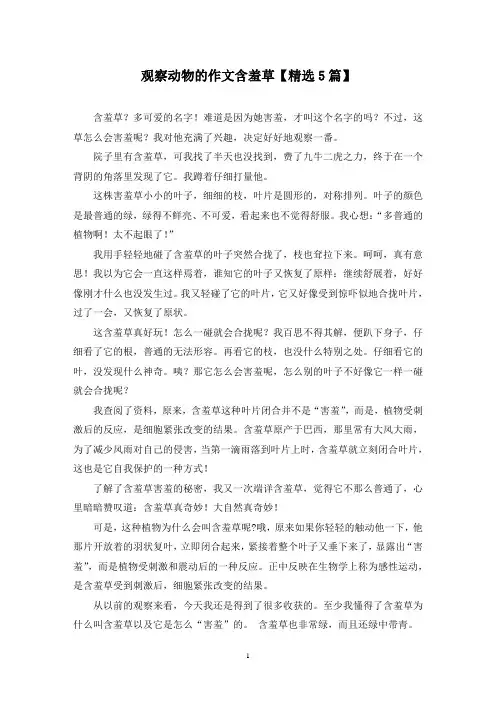 精选观察动物的作文含羞草【5篇】