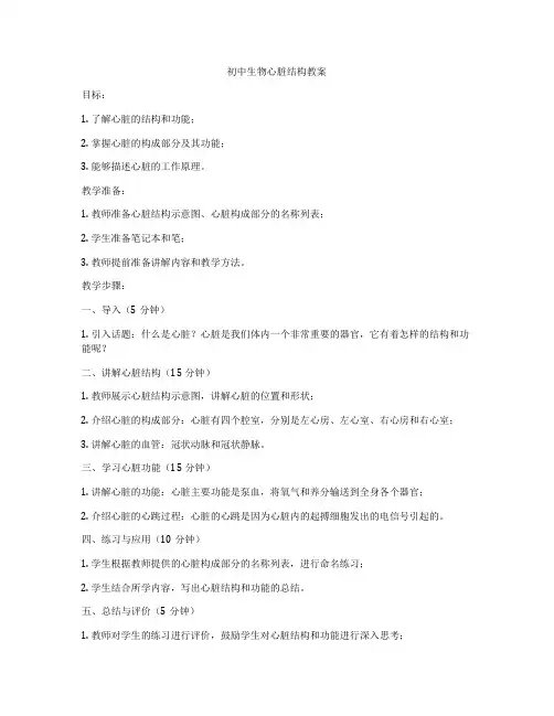 初中生物心脏结构教案