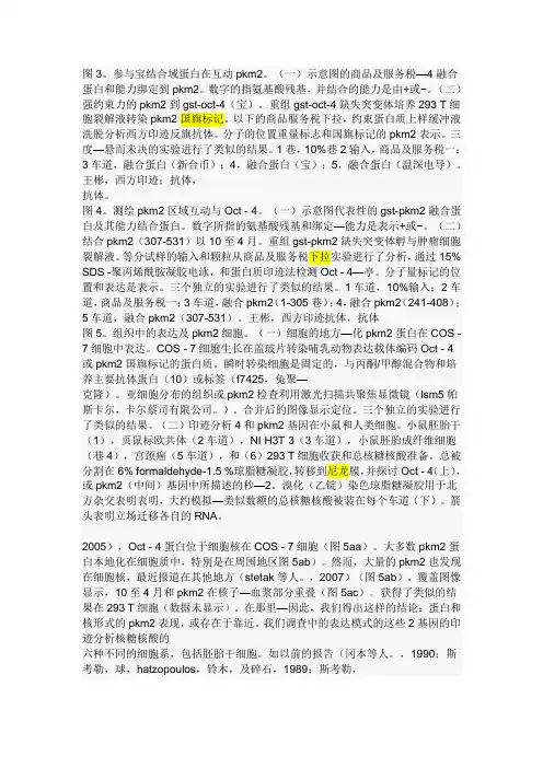 细胞翻译