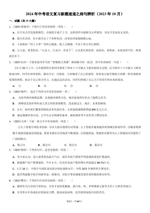 2024年中考语文分类复习——病句辨析