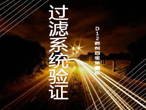 过滤系统的验证