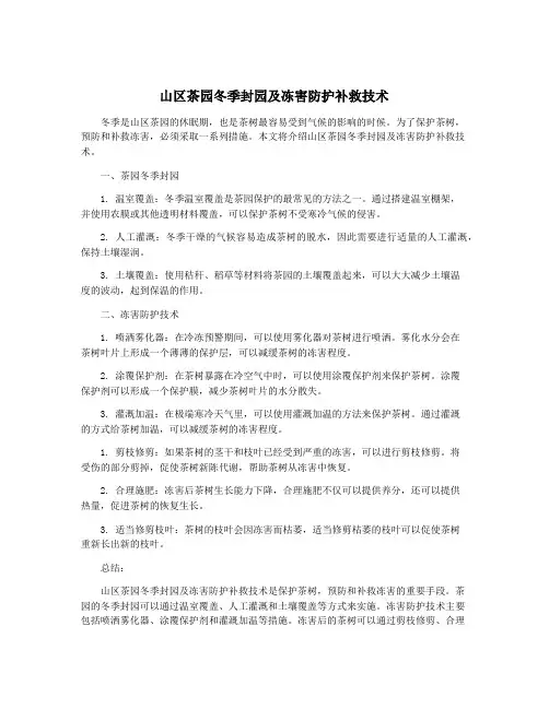 山区茶园冬季封园及冻害防护补救技术