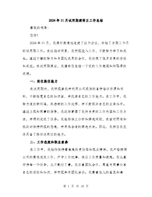 2024年11月试用期满转正工作总结(三篇)