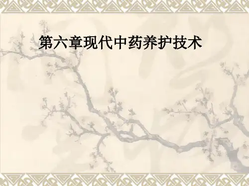 第六章现代中药养护技术ppt课件