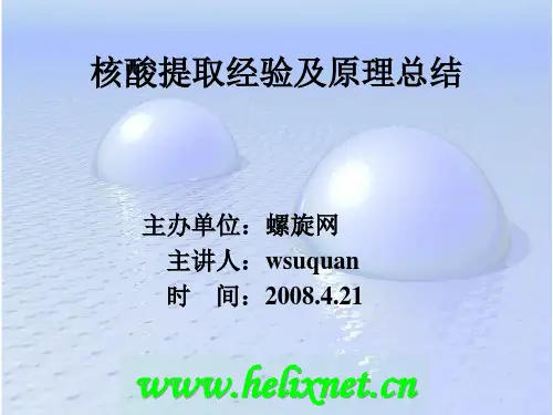 核酸提取经验及原理资料
