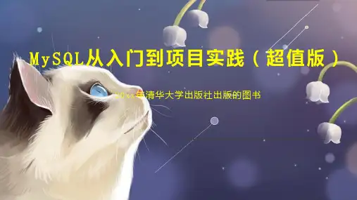 MySQL从入门到项目实践(超值版)