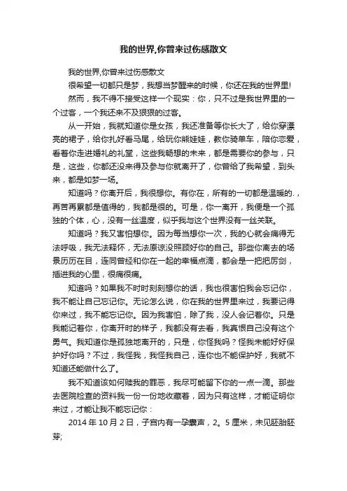 我的世界,你曾来过伤感散文