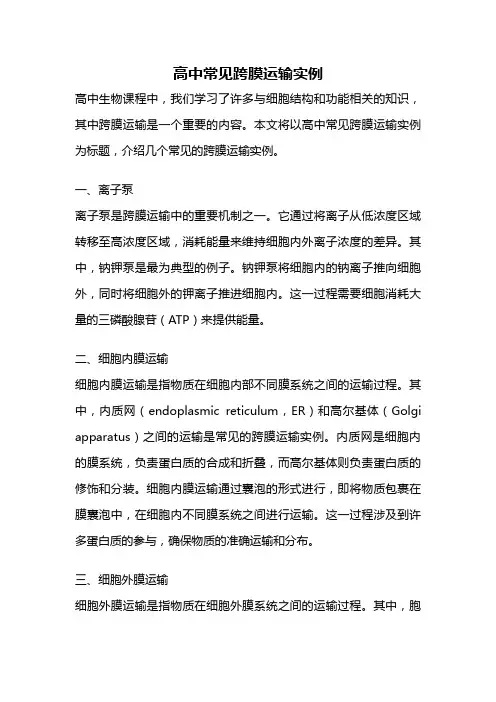 高中常见跨膜运输实例