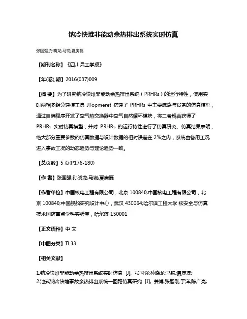 钠冷快堆非能动余热排出系统实时仿真