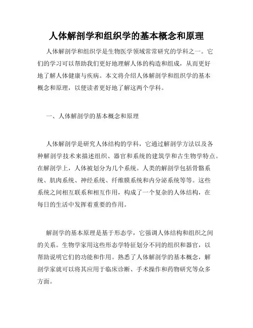 人体解剖学和组织学的基本概念和原理