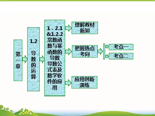 高中数学选修2-2：常数函数与幂函数的导数 导数公式表及数学软件的应用