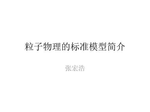 粒子物理的标准模型简介