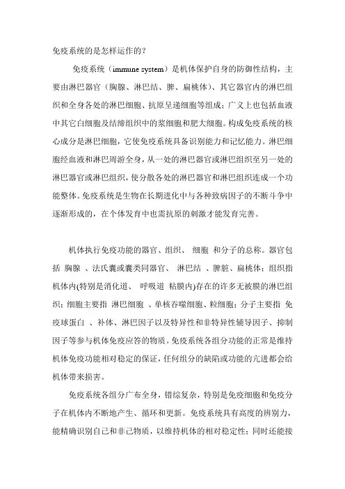 免疫系统的是怎样运作的